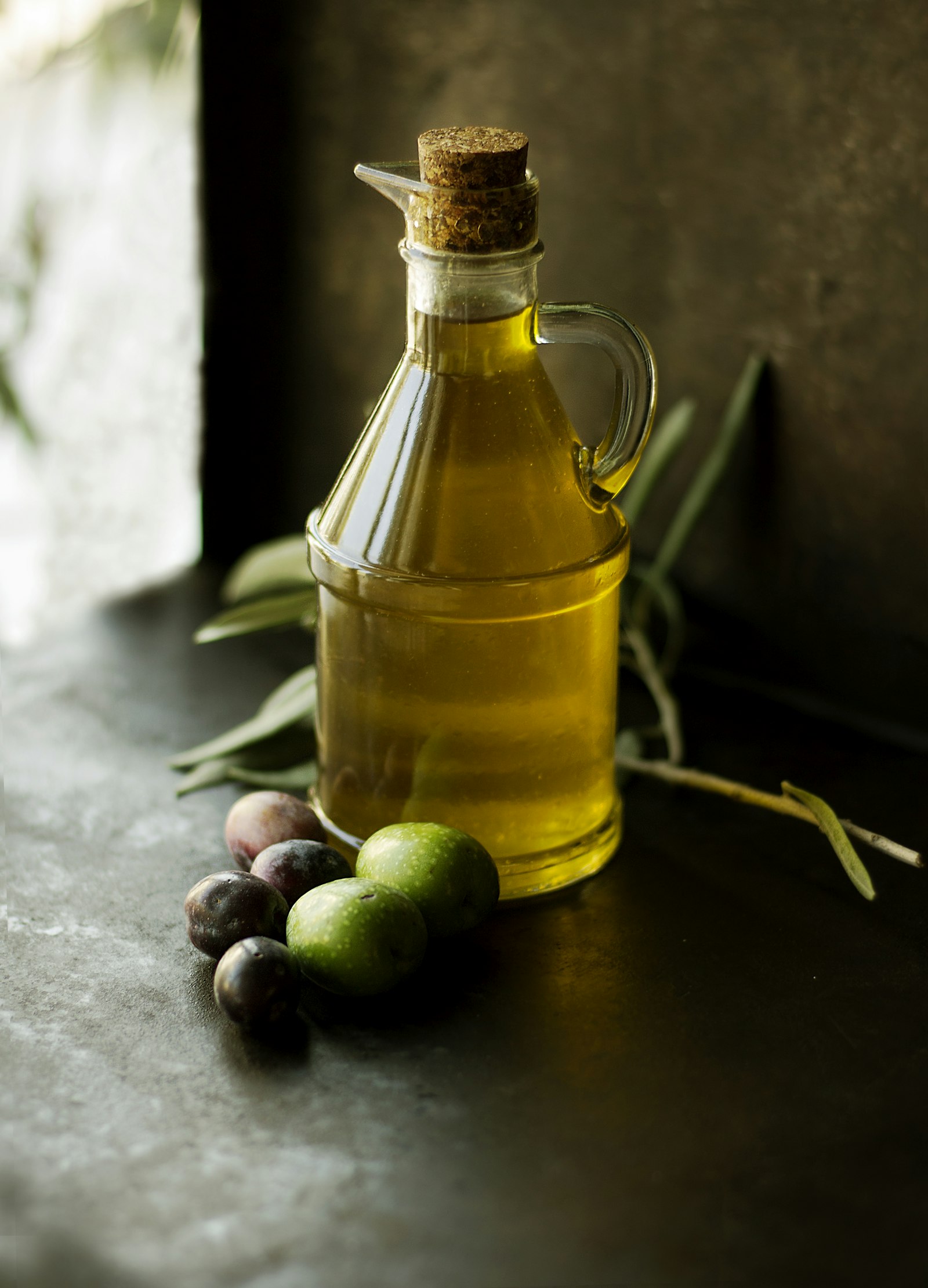 Olive trees under Mediterranean light